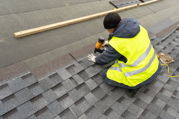 Best Roof Gutter Cleaning  in Litchfield, MI