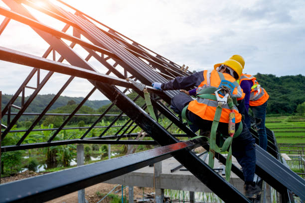 Gutter Installation and Roofing in Litchfield, MI