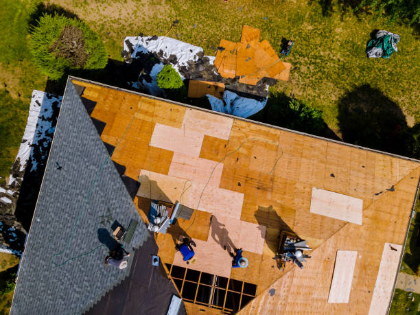 Best Slate Roofing Contractor  in Litchfield, MI