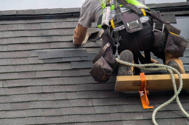 Best Flat Roof Repair Services  in Litchfield, MI
