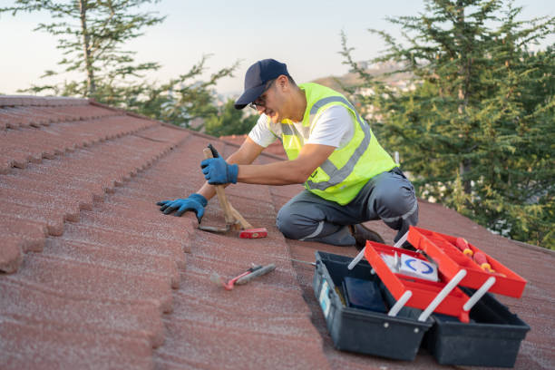 Best Tile Roofing Contractor  in Litchfield, MI