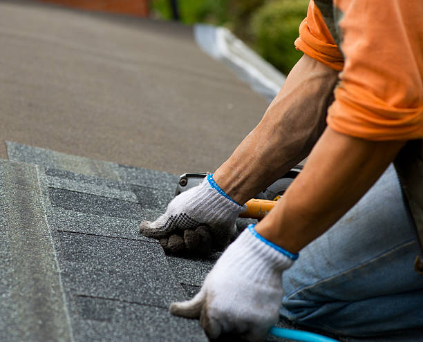 Best Tile Roofing Contractor  in Litchfield, MI