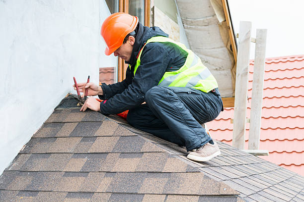 Best New Roof Installation  in Litchfield, MI