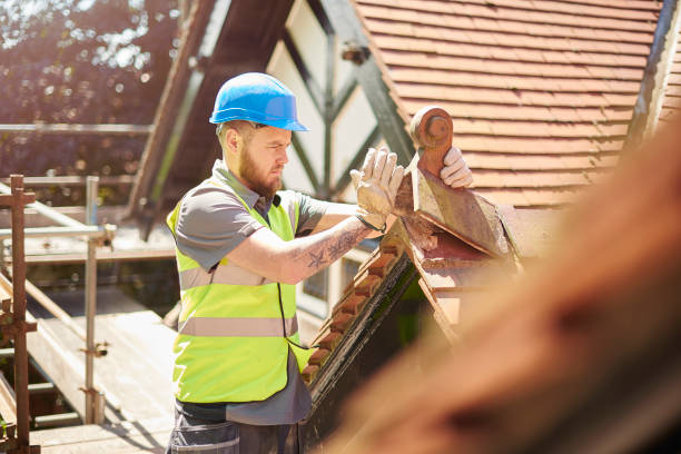 Best Affordable Roofing Company  in Litchfield, MI