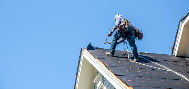 Best Shingle Roofing Installation  in Litchfield, MI